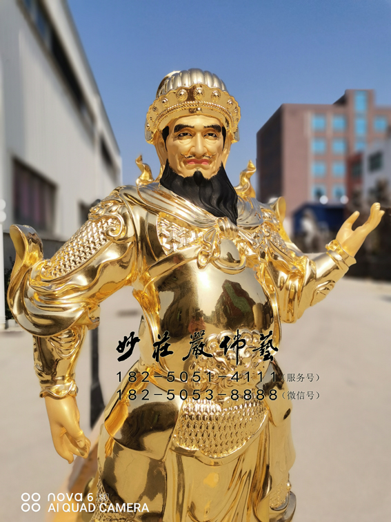 给孤独长者近照实拍
